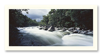 mossman-1 Mossman Gorge foto card