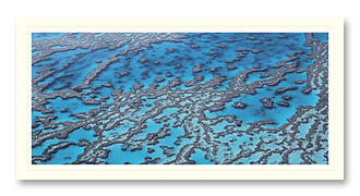 reef-1 Great Barrier Reef foto card
