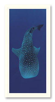 whaleshark-2 Whale Shark foto card
