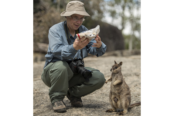 Carol with her bag of rolled oats and Mareeba Rock wallaby mom and joey patiently waiting for a feed